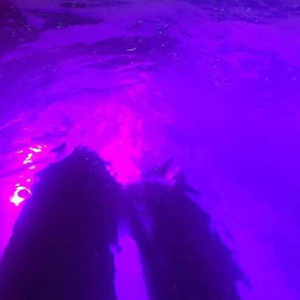 日本乱人伦中文视频在线观看
