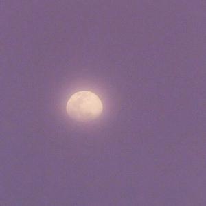 日本乱人伦中文视频在线观看
